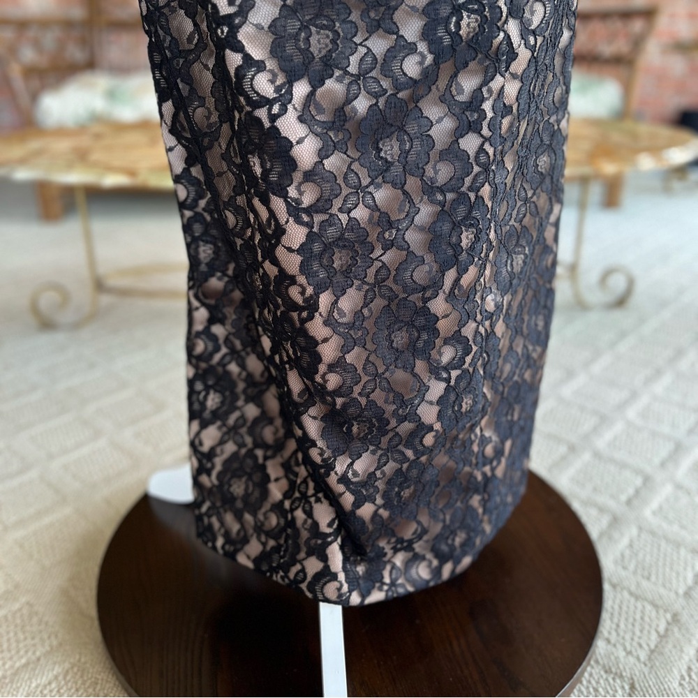 Arianna by Rachel Kaye Black Lace Nude Illusion Evening Maxi Dress 6 Cocktail - Picture 6 of 17